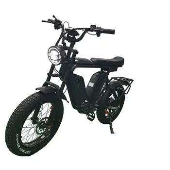 Мотор Bafang 52v 1000w 22ah * 2 Двойни батерии, Електрически Мотор City Fat Retro Bicicleta Electrica Fatbike