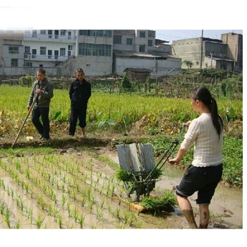 ръчна машина за засаждане на семена от оризово поле